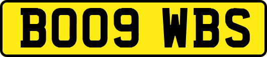 BO09WBS