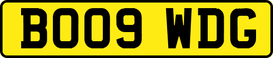 BO09WDG