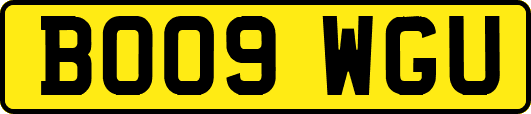 BO09WGU