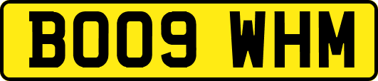 BO09WHM