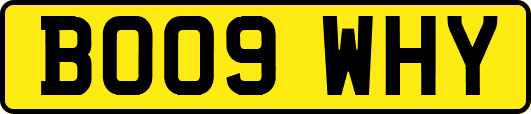BO09WHY