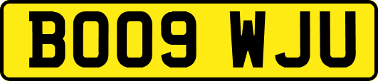BO09WJU