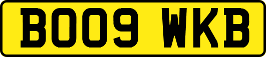 BO09WKB