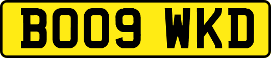 BO09WKD