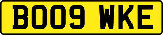 BO09WKE