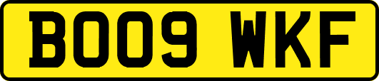 BO09WKF