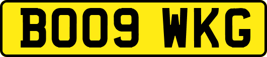 BO09WKG