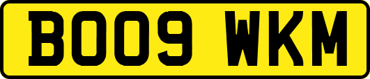 BO09WKM