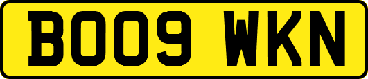 BO09WKN