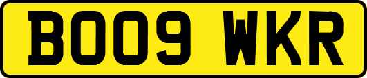 BO09WKR