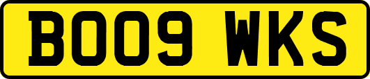 BO09WKS