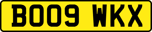 BO09WKX