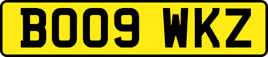 BO09WKZ