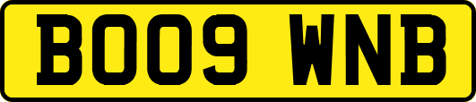 BO09WNB