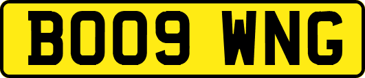BO09WNG