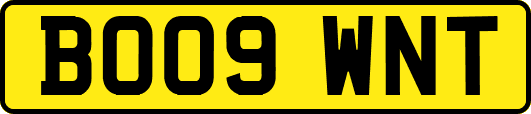 BO09WNT