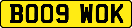 BO09WOK