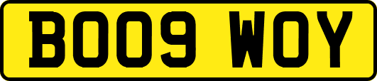 BO09WOY