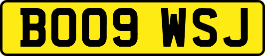 BO09WSJ