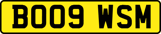 BO09WSM