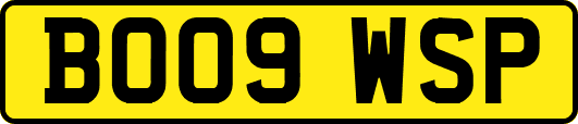 BO09WSP