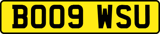 BO09WSU