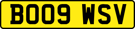 BO09WSV