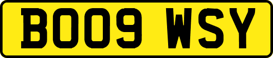 BO09WSY