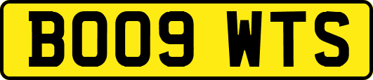 BO09WTS