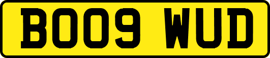 BO09WUD