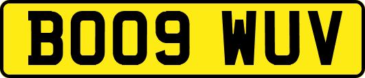 BO09WUV