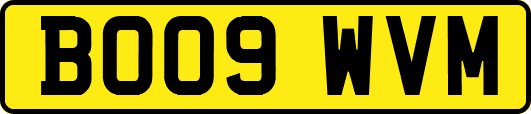BO09WVM
