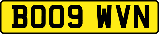 BO09WVN
