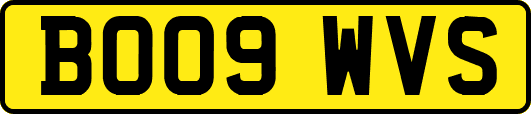 BO09WVS