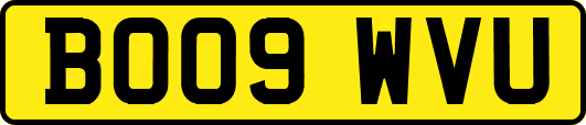 BO09WVU