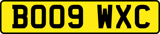 BO09WXC