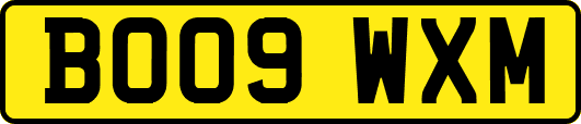 BO09WXM