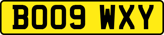 BO09WXY