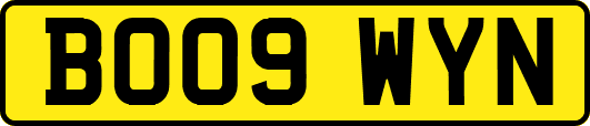 BO09WYN