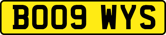 BO09WYS