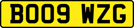 BO09WZG