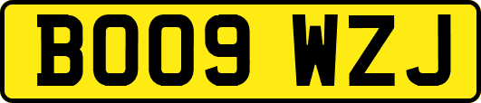 BO09WZJ