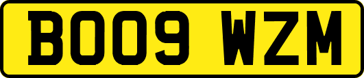 BO09WZM