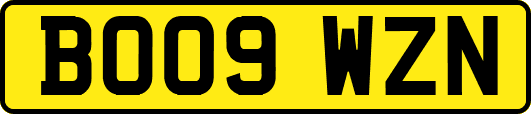 BO09WZN