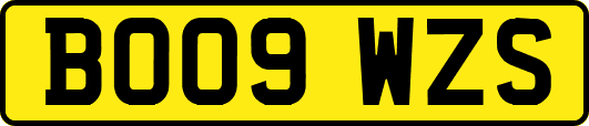 BO09WZS