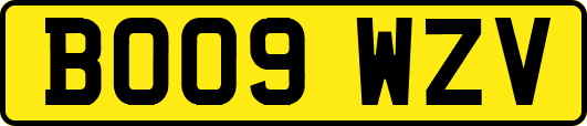 BO09WZV
