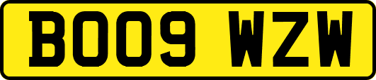 BO09WZW