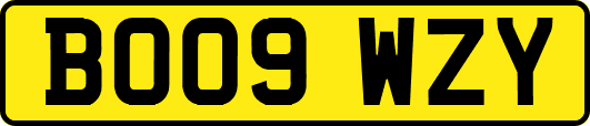 BO09WZY