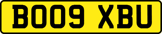 BO09XBU