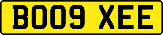BO09XEE